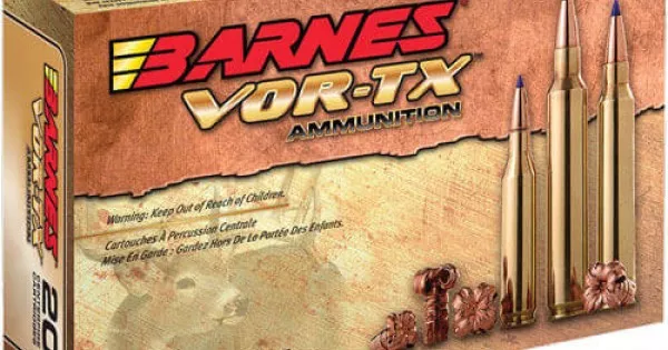 BARNES 450 BUSHMASTER 250GR TSX-FB 20RD
