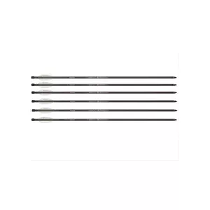 Benjamin Airbow Arrows 26″, 6 pack