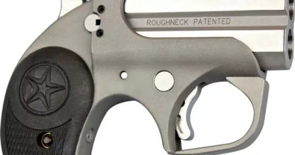 BOND ARMS ROUGHNECK .38/.357 MAG 2.5" SS RUBBER