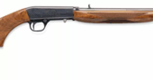 BROWNING SEMI-AUTO 22 G1 .22LR 19.4" BLUED WALNUT
