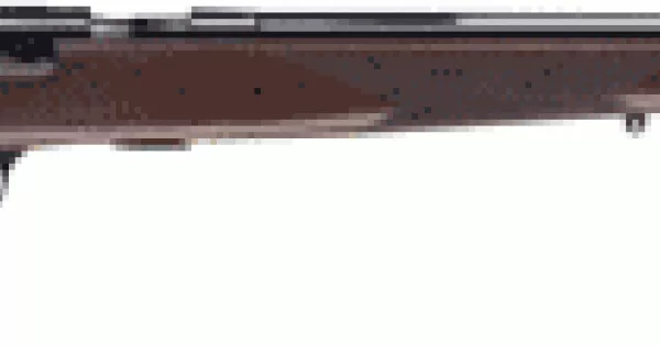 BROWNING T-BOLT SPORTER .17HMR 22" BLUED WALNUT
