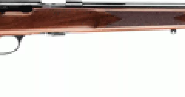 BROWNING T-BOLT TARGET/VARMINT .22LR 22" HB BLUED WALNUT