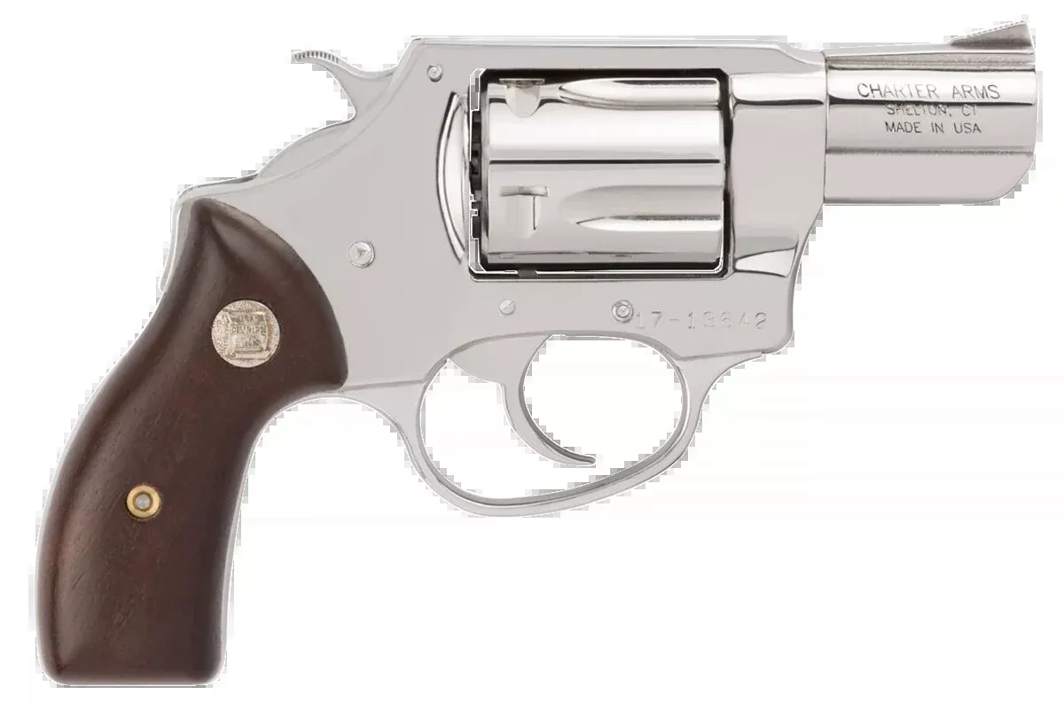 Charter Arms 73829 Undercover 38 Special 2