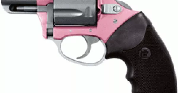 CHARTER ARMS PINK LADY .38SPL 2" PINK/SS