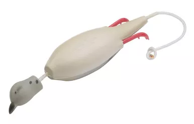 Dokken’s™ DeadFowlMourning Dove
