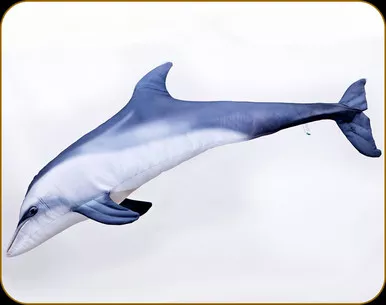 Gaby - Bottlenose Dolphin Pillow - Mini - 21" - GP-175495