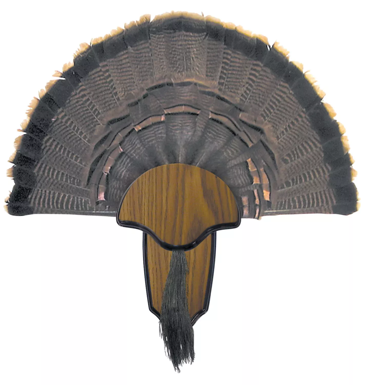 HS Strut 00849 Do-It-Yourself Turkey Tail and Beard Mounting Kit