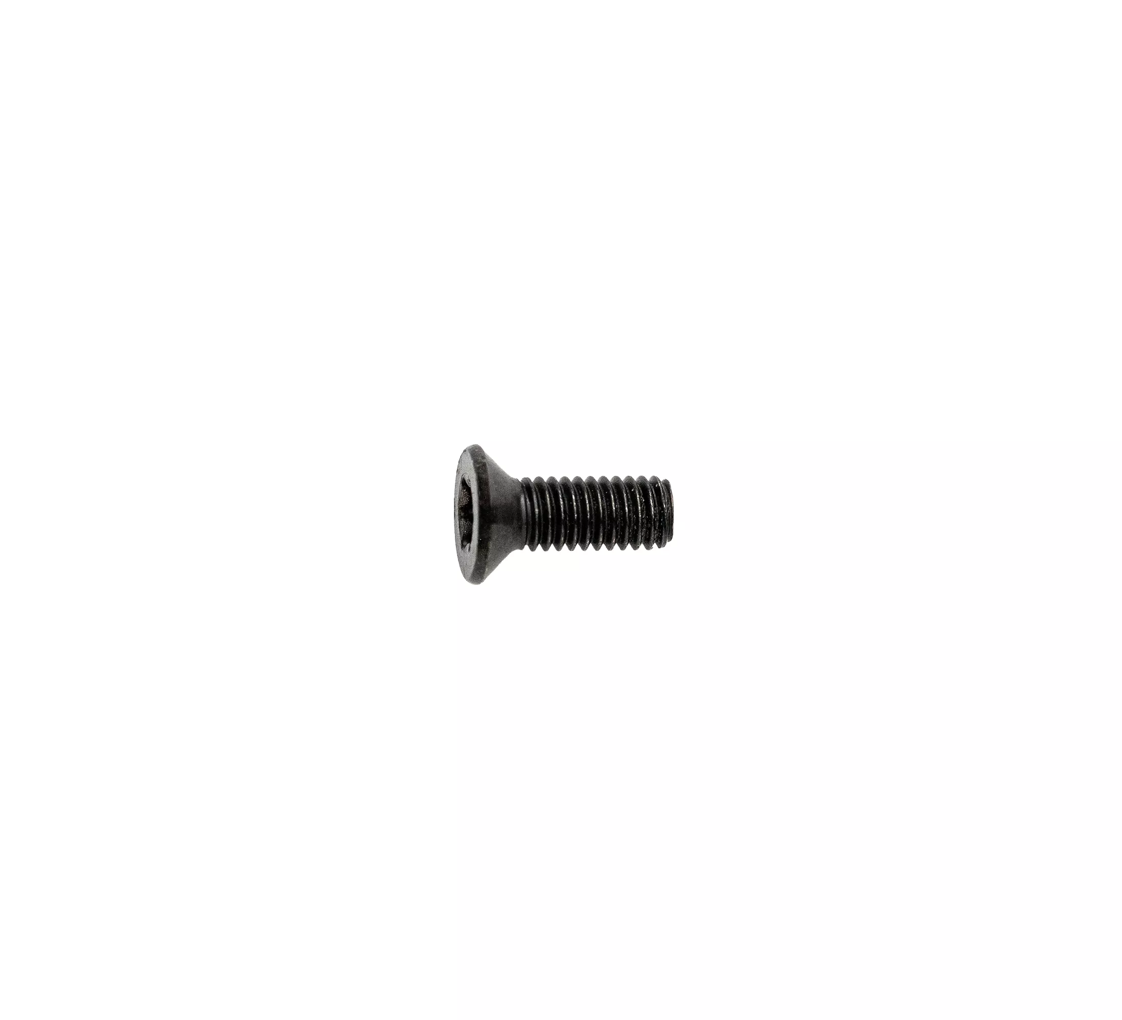 Magazine Catch Screw