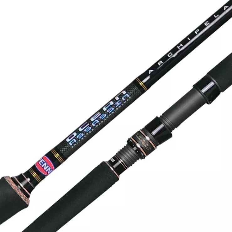 Penn Ocean Assassin Rod