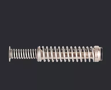 Recoil Spring Assembly (D012531)